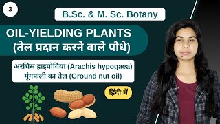 Economic Botany  OILYIELDING PLANTS  मूंगफली का तेल Ground nut oil  हिंदी में  Botany [upl. by Killy]