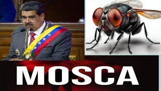 Nicolás maduro 😱🇻🇪 VS UNA MOSCA ASESINA 🪰🪰 [upl. by Noryk]