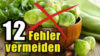 Vermeide diese 7 fatalen Fehler beim Rosenkohl – so wird er perfekt [upl. by Yespmed]