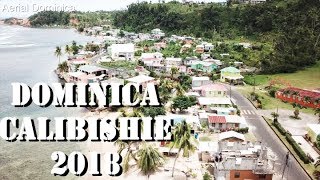 CALIBISHIE DOMINICA 8 MONTHS AFTER HURRICANE MARIA  AERIAL DOMINICA [upl. by Aunson]