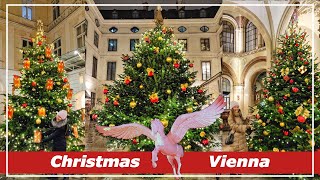 Magical Christmas Lights Walk in Vienna Austria  Best photography spots  Рождественская Вена [upl. by Willie930]