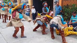 La Siembra Busqueda Y Matanza Del Tigre ۞Tlacololeros San Agustín۞ [upl. by Goodkin699]