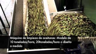 Planta y maquinaria de preprocesado de aceitunas [upl. by Nylyrehc]