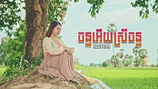 ចន្ទអើយស្រីចន្ទ  Cover by Meas Nita  LYRIC VIDEO  មាស នីតា [upl. by Dorrej167]