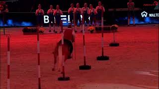 Südtirols größtes Reitspektakel  STUTTGART GERMAN MASTERS Show 2024 [upl. by Yengac115]