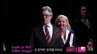 한글자막 Legally Blonde  Gay or European [upl. by Miehar583]