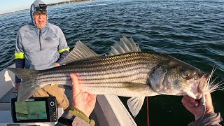 Striped Bass Fishing Comes Alive Top to Bottom [upl. by Juditha528]