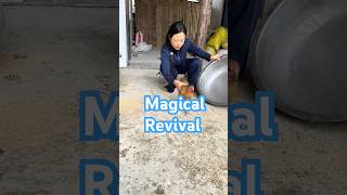 Magic Revival Watch How This NearDead Chicken Comes Back to Life with Just a Pot and Some Taps [upl. by Bully579]