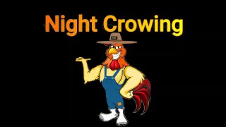 Why do Roosters crow at NIGHT [upl. by Goldstein11]