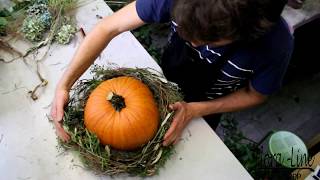 DIY Herbstdeko mit Kürbis selber kreieren [upl. by Mot]