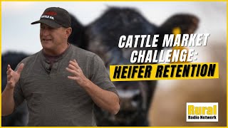 THIS is why the US Heifer Retention Remains Low  Insights from Feedlot Owner [upl. by Vitale]