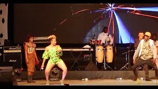 FULL VIDEO Yemi Alade performance FIESTA 2016 Dar es salaam [upl. by Woothen]