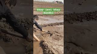 HoHare Besine vato karta Amekhetrma pani varva ni moj viralvideo Bhayjevi Bhaybadhi Amari [upl. by Orazio616]