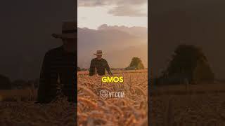 GMOs Banned Worldwide But Common in the US [upl. by Reid]