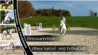 Dressur ohne Sattel  mit Fellsattel  November 2015 [upl. by Rodolphe]