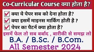 lu Co  curricular course kya hai  co curricular syllabus  study materials ccsuniversitymeerut [upl. by Dieball]