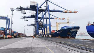 Massive Maersk Line Container Ship Unloading using a Quay Crane [upl. by Onairda]