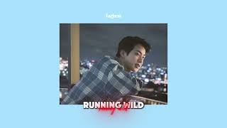 Running Wild  진 Jin slowed [upl. by Antsirhc170]