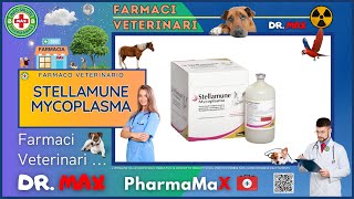 🐶 STELLAMUNE MYCOPLASMA Farmaco Veterinario a cosa serve   Foglietto Illustrativo Salute [upl. by Harrison653]