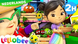 Welkom terug op de boerderij  Lellobee Nederlands  Kinderliedjes  Leervideos voor kinderen [upl. by Allbee]