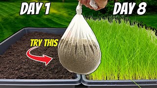 The FASTEST Way to Grow Grass Seed Pregermination Secrets REVEALED [upl. by Skill]