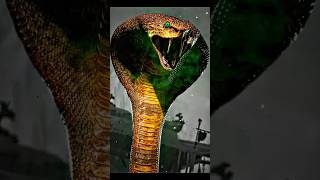 Big Snake ATTACK Edit shorts snake short shortsfeed [upl. by Lhary558]