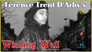 TERENCE T DARBY Wishing Well BASSampGUITARampVOCALSISOLATED TRACKS MOISES [upl. by Sokul]