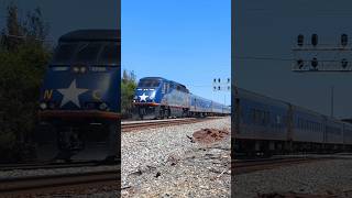 Amtrak Piedmont train P075 departs Raleigh NC at Powell Drive 9102024 [upl. by Ecirtaemed496]