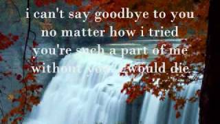 I cant say goodbye to you by Helen Reddy with Lyrics [upl. by Nancee]