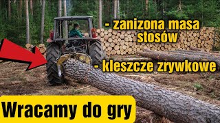 Zaniżana masa stosów i kleszcze zrywkowe  WRACAMY DO GRY  Zwykły dzień w lesie odc6 Okiem ZULa [upl. by Oicnerolf854]