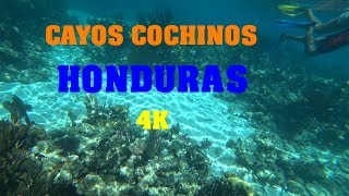 CAYOS COCHINOS HONDURAS 4K [upl. by Llien]