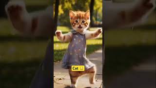 Cute Cat Dance ❤️Cute kitten cat lovecats catscatvideos kittens catlover princesscatkitten [upl. by Lothaire]