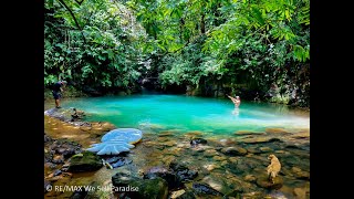 HOUSE OJOCHAL 1 BED  Loft with jungle backyard a river swimming holes  land to build  1244 [upl. by Cardwell312]