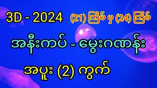 3D  2024 21ကြိမ် မှ 24ကြိမ်တွက် မွေးဂဏန်း အပူး 2ကွက် ၊စိတ်ကြိုက် ဝင်ယူပါ။ [upl. by Dressler919]