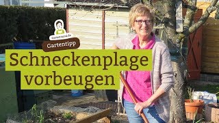 Schneckenplage im Garten vorbeugen [upl. by Baudelaire]