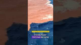 Natural occurrences of sea water cannot unite shortsviral viralvideo sea ocean reaction [upl. by Vincenty]