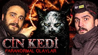 BU KEDİ CİN Mİ  120 Yaşındaki Halime Hatunun KORKUNÇ KONAĞI  Paranormal Olaylar [upl. by Ahsemed]