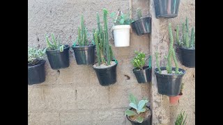 COMO PENDURAR SUAS PLANTAS NO MURO DO JEITO SIMPLES [upl. by Lavicrep]