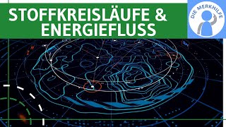 Stoffkreisläufe amp Energiefluss  Begriffe Prozesse biochemisch geochemisch biogeochemisch u a [upl. by Anikahs801]