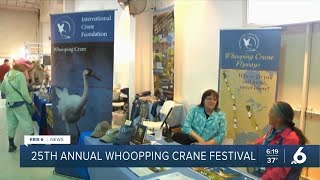 The Whooping Crane Festival welcomes back the endangered bird [upl. by Norab48]