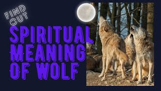 Spiritual meaning of Wolf Moon What Does It Means To Have The Wolf As Your Spirit Animal2023 Video [upl. by Chasse]