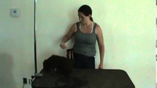 Lagotto puppy training with Jacki Barbieri [upl. by Valsimot]