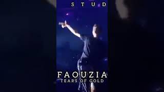 Faouzia  Tears of Gold TS Remix [upl. by Turtle113]