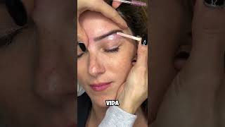 TRANSFORMA el rostro de tu clienta con RESTRUCTURACION en CEJAS [upl. by Llenet]