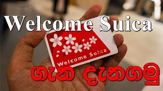 Suica Card Japan  Japan Travel Essential  මොකක්ද මේ Welcome Suica Card කියන්නේ  Sinhala [upl. by Jenine152]