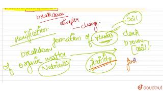 Write about \humification \ and the \mineralisation\ occurring during the process [upl. by Erlewine]