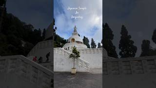 Japanese Temple amp World Peace Pagoda In Darjeeling  darjeeling travel tourism shorts ytshort [upl. by Willie573]