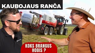 Kaubojaus rančoje presuojame žolę  Vilkas valgė avis  Skaniausi kepsniai  AGRO REIDAS [upl. by Ileane]