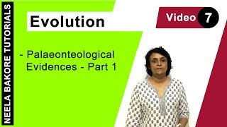 Evolution  NEET  Palaeonteological Evidences  Part 1  Neela Bakore Tutorials [upl. by Garcon628]