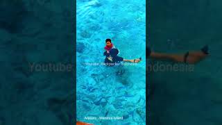 Swim with the Fish in Maratua Island Borneo Indonesia shorts [upl. by Portia]